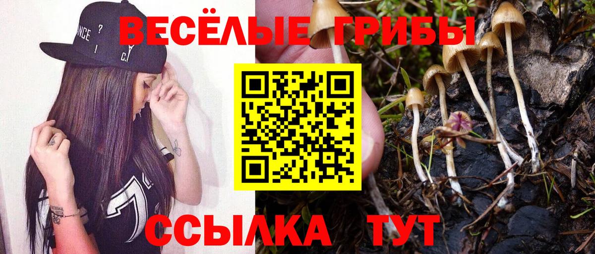 Псилоцибиновые грибы Psilocybine cubensis  Вход с VPN  Краснодар 